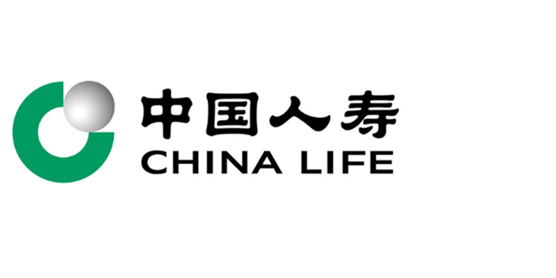 中国人寿电子商务有限公司